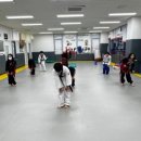 FTC 호림 합기도 이미지