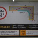 병아리라이더스 이미지