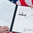 지금은 동(東)의 Daum카페
