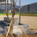 창릉초등학교 이미지