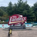 서12-402 | SSG랜더스필드 sky뷰 402블럭 맨뒷자리(응원타월 받기 / 미니니유니폼세트, 랜디모자 겟)