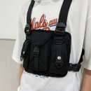 프론트백