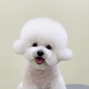 몽몽살롱 이미지