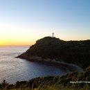녹산 Daum카페