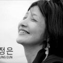 오렌지나무 이미지