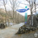 사지목나무그늘 이미지