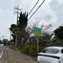 라그랑주 | 25 제주 / 숙소 스테이라그랑주