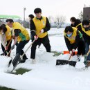 론볼경기장 이미지