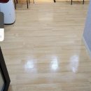 위너크린 이미지