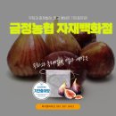 금정면보건지소 이미지