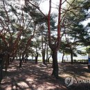 송림공원 내 이미지