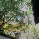 하날농장 | 석류쥬스 질리도록 먹어 본 후기