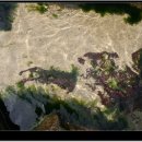 푸른감(푸른感) 이미지