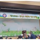 해드래 네이버블로그