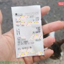 새마을설렁탕