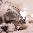센텀보안정보통신 이미지