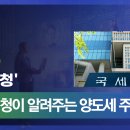 국세청앞 이미지