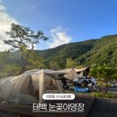 태백 눈꽃 야영장 | 수영장 있는 캠핑장 태백눈꽃야영장 첫 캠핑 후기 요금 매너타임