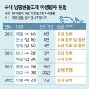 엉불턱우도전망대
