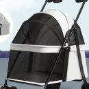 고양이미용&호텔 냥집사 이미지