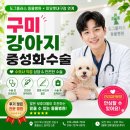 도그마루강아지고양이분양구미대구 | 구미강아지중성화수술, 왜 병원 선택이 평생 건강을 좌우할 수 있을까요?