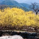 발섬6길 이미지