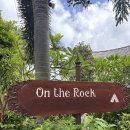 더온(THE ON) | [태국] 푸켓 온더락(On The Rock) 내돈내산 후기 | 카론비치 바다 보면서 식사하기 좋은 레스토랑
