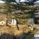 신미골 이미지