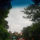 송원애견 이미지