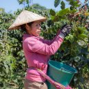 유리농장(화산) 티스토리