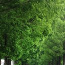 가평시내 자전거길 이미지