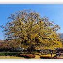 만의골로 이미지