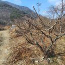 기우농장 이미지