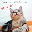 신촌세민약국 이미지