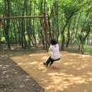 부평구 비타민길 이미지