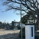 상가리사무소 네이버블로그