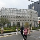 네모 | 뚝섬역 성수동 케이크 맛집 네모네 후기!!!