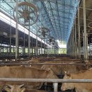 가율축산 이미지