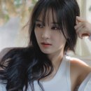 백서