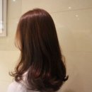 왕십리에서 찾은 인생 커트 부크헤어 애쉬브라운 염색 후기