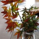 왕초보 중국어 교실 이미지