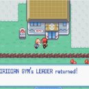 상록체육관 이미지