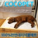 COCOPET(코코펫) | COCOPET 시원한 100%천연 대리석쿨매트