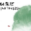 캘리스토리 이미지