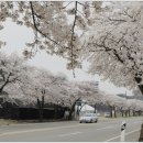 동학사약국 이미지