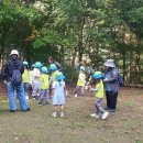 광판초등학교 병설유치원 이미지