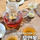 [우연못] 제주 카페 추천 조용한 감성 찻집 우연못 방문 후기