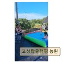 고성 탑 글램핑 농원 | 강원도 글램핑 캠핑장 추천 고성탑글램핑 농원 조용하고 깨끗한 힐링 공간