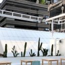 타이무카타 이미지