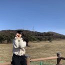 효진목장 이미지